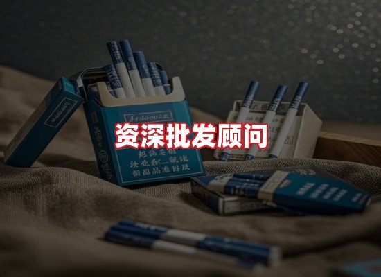 专业团队
